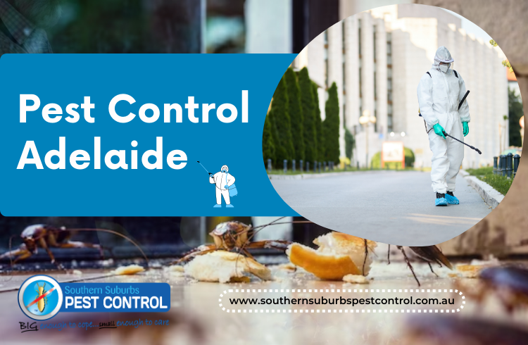Inside Southern Suburbs Pest Control
