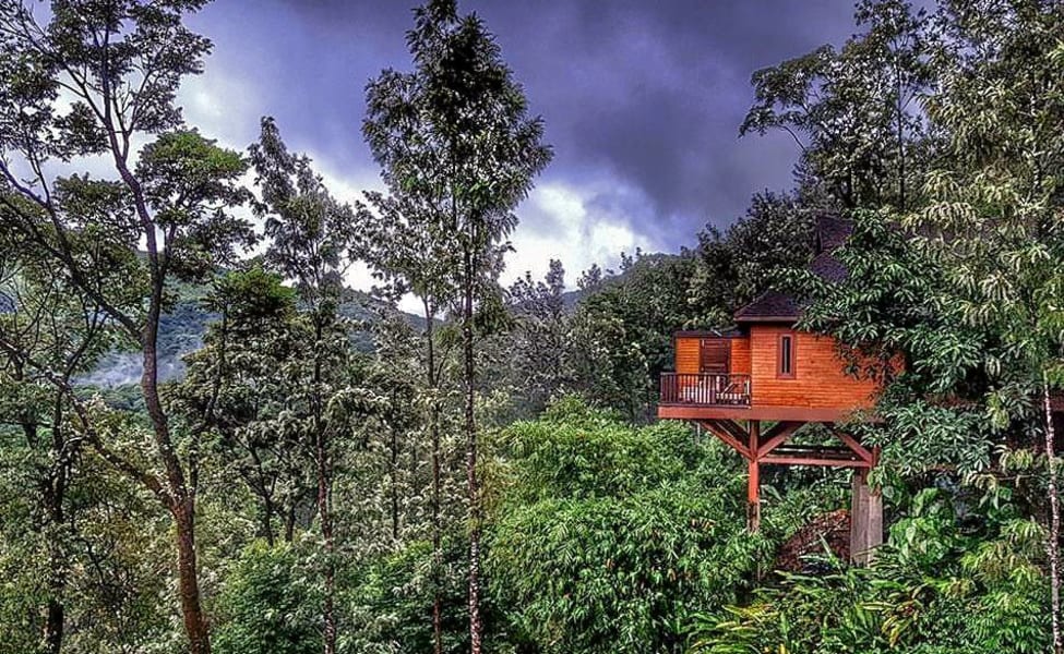 Tamara coorg 3