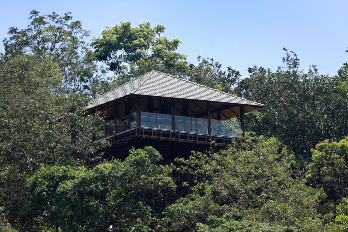 Ibnii Coorg